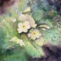 A Touch of Spring
