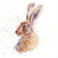 Hare 3