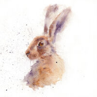 Hare 3