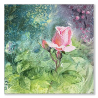 A Rose I Suppose
